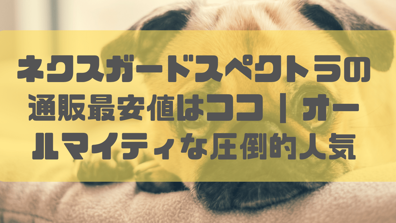 ネクスガードスペクトラの通販最安値はココ オールマイティな圧倒的人気 ペットのお薬通販情報note